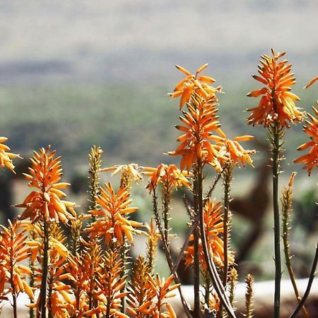 Cortijo El Paraiso ロス・エスクリョス エクステリア 写真